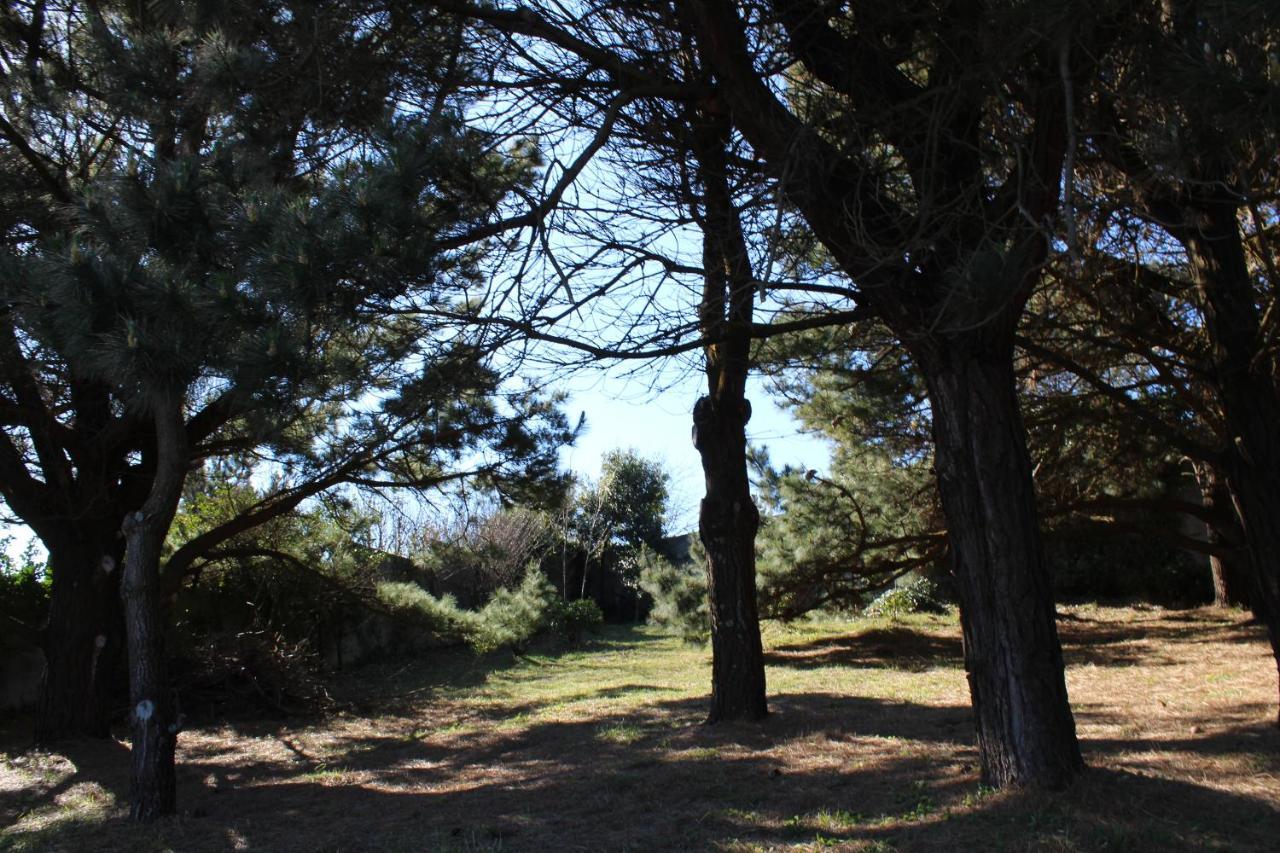 Finca Dos Mares Ferrol Bagian luar foto